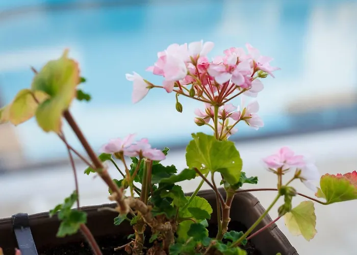 Apartamento Charming 1 Bedroom For Up To 4 Guests