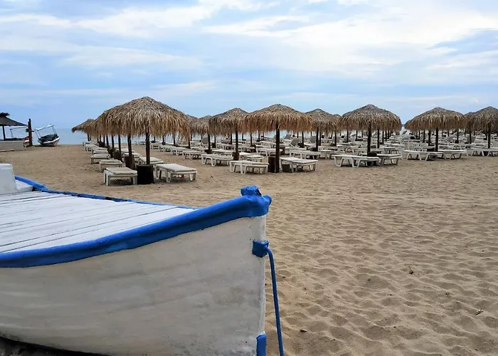 Charming 1 Bedroom For Up To 4 Guests Appartamento Sunny Beach