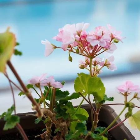 Appartement Charming 1 Bedroom For Up To 4 Guests